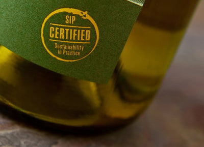 Sustainability in Wine